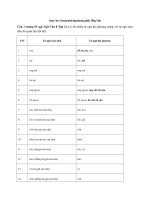 Tải Soạn Văn 8 HK1: Chương trình địa phương phần Tiếng Việt - Soạn Văn lớp 8 Chương trình địa phương