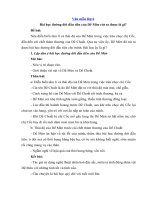 Tải Bài học đường đời đầu tiên của Dế Mèn rút ra được là gì? - Bài văn mẫu lớp 6 hay