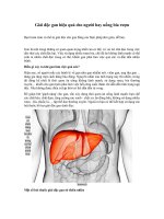 Tải Giải độc gan hiệu quả cho người hay uống bia rượu - Cách giải độc gan cho người uống rượu bia