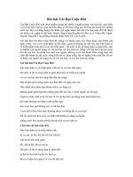 Tải Lời bài hát Cát bụi cuộc đời - Cát bụi cuộc đời Lyric