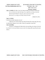 Tải Đề thi học sinh giỏi môn Ngữ văn lớp 6 trường THCS Hội Nga, Nghệ An năm học 2016 - 2017 - Đề thi học sinh giỏi cấp trường lớp 6 môn Văn có đáp án