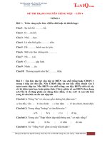 TRANG NGUYEN TIENG VIET LOP 4a 