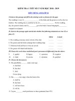 Tải Đề kiểm tra 1 tiết số 3 môn Tiếng Anh lớp 10 năm học 2018 - 2019 - Kiểm tra 45 phút môn Tiếng Anh lớp 10 chương trình mới