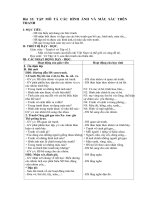 Tải Giáo án Mỹ thuật lớp 3 bài 33: Tập mô tả các hình ảnh và màu sắc trên tranh - Giáo án điện tử môn Mỹ thuật lớp 3