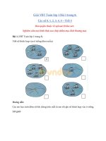 Tải Giải vở bài tập Toán lớp 1 trang 8 sách Kết nối tri thức với cuộc sống - Các số 0, 1, 2, 3, 4, 5 - Tiết 3