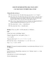 Tải Chuyên đề bồi dưỡng học sinh giỏi môn Toán lớp 5: Các bài toán về phép chia có dư - Tài liệu bồi dưỡng học sinh giỏi môn Toán lớp 5