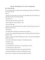 Tải Soạn Văn 9: Viết bài tập làm văn số 1: Văn số 1: Văn thuyết minh - Soạn Văn lớp 9 tập 1