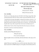 Tải Đề thi chọn học sinh giỏi lớp 12 môn Ngữ Văn năm 2019 sở GD&ĐT Quảng Trị - Đề thi học sinh giỏi môn Ngữ văn lớp 12