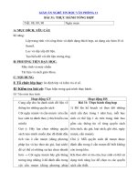 Tải Giáo án nghề Tin học văn phòng lớp 11 - Bài 31 - Thực hành tổng hợp