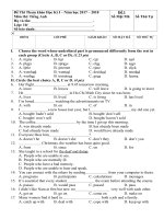 Tải Đề thi học kì 1 lớp 10 môn tiếng Anh năm học 2017-2018 có đáp án - Đề ôn thi học kì 1 môn tiếng Anh lớp 10