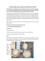 Tải 2 mẫu hoa giấy màu cực đẹp cho ngày Quốc tế Phụ nữ - Tự làm hoa giấy handmade siêu đẹp cho ngày 8-3