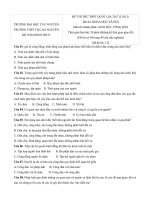 Tải Đề thi thử THPT Quốc gia năm 2017 môn Giáo dục công dân trường THPT Thực hành Cao Nguyên, Đăk Lăk (Lần 3) - Đề thi thử THPT Quốc gia 2017 môn GDCD có đáp án