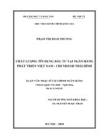 Chất lượng tín dụng đầu tư tại ngân hàng phát triển việt nam   chi nhánh thái bình 