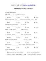 Tải Bài tập Ngữ pháp Tiếng Anh lớp 11: Mệnh đề quan hệ - Bài tập mệnh đề quan hệ có đáp án