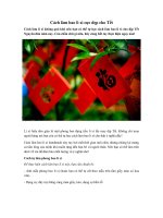 Tải Cách làm bao lì xì cực đẹp cho Tết - Hướng dẫn cách làm phong bao lì xì handmade