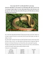 Tải Xem sao hạn năm 2017 sao chiếu mệnh Đinh Tỵ nam mạng - Xem sao hạn Đinh Tỵ nam mạng năm Đinh Dậu 2017