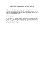 Tải Cách trồng đậu nành rau - Hướng dẫn trồng cây đậu tương