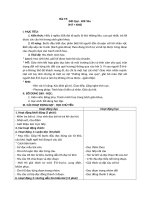 Tải Giáo án Tập đọc lớp 3 bài 19: Đất Quý - Đất Yêu - Giáo án điện tử môn Tập đọc lớp 3