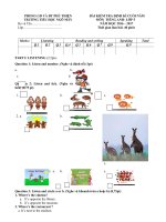 Tải Đề thi học kì 2 lớp 5 môn tiếng Anh trường Tiểu học Ngô Mây, Gia Lai năm học 2016-2017 có đáp án - Đề thi học kì 2 lớp 5 môn tiếng Anh