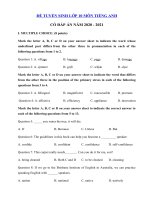 Tải Đề luyện thi vào lớp 10 môn tiếng Anh năm 2020 - 2021 số 5 - Đề thi tuyển sinh lớp 10 môn Tiếng Anh có đáp án