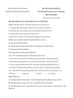 Tải Đề thi thử THPT Quốc gia năm 2015 môn Sinh học trường THPT Phan Bội Châu, Quảng Nam (Số 2) - Đề thi thử đại học môn Sinh có đáp án