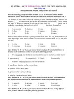 Tải Đề mẫu thi THPT Quốc gia môn tiếng Anh chuẩn cấu trúc Bộ giáo dục có đáp án - Đề ôn thi Đại học môn tiếng Anh