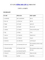 Tải Từ vựng Unit 3 lớp 11: A party hệ 7 năm - Vocabulary - Từ vựng Unit 3 SGK tiếng Anh 11 A Party