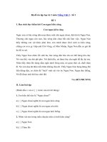 Tải Bộ đề ôn tập học kì 2 môn Tiếng Việt 2 năm 2018 - 2019 - Số 1 - 04 đề thi học kì 2 lớp 2 môn Tiếng Việt có đáp án