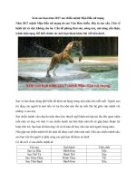 Tải Xem sao hạn năm 2017 sao chiếu mệnh Mậu Dần nữ mạng - Xem sao hạn Mậu Dần nữ mạng năm Đinh Dậu 2017