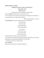 Tải Đề thi giữa học kì 2 môn Ngữ văn lớp 6 Phòng GD&ĐT Nam Trực, Nam Định năm học 2015 - 2016 - Đề kiểm tra giữa học kì II môn Ngữ văn lớp 6 có đáp án