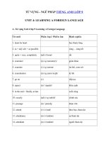 Tải Từ vựng - Ngữ pháp Unit 4 lớp 9: Learning A Foreign Language - Lý thuyết tiếng Anh 9 Unit 4| Từ vựng Ngữ pháp Unit 4 SGK tiếng Anh 9