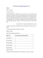 Tải Đề thi học kì 2 lớp 8 môn Ngữ văn - Đề 1 - Đề thi hk2 môn Văn lớp 8 có đáp án