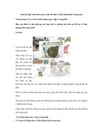 Tải Giải bài tập SGK Khoa học 4 bài 40: Bảo vệ bầu không khí trong sạch - Giải bài tập môn Khoa học lớp 4 tập 2