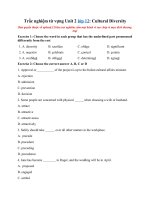 Tải Trắc nghiệm từ vựng Unit 2 lớp 12: Cultural Diversity - Từ vựng Unit 2 lớp 12 có đáp án