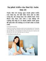 Tải Sự phát triển của thai kỳ: tuần thứ 24 - Tìm hiểu sự phát triển của bé ở tuần thai thứ hai mươi tư