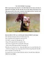 Tải Tử vi 2017 tuổi Bính Tý nam mạng - Xem tử vi tuổi Bính Tý nam mạng năm 2017