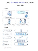 Tải Phiếu bài tập cuối tuần môn Tiếng Anh lớp 2 Tuần 14 - Bài tập cuối tuần tiếng Anh 2 có đáp án