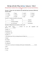 Tải Bài tập cuối tuần Tiếng Anh lớp 7 nâng cao - Tuần 2 - Phiếu bài tập Tiếng Anh lớp 7 - Tuần 2 có đáp án