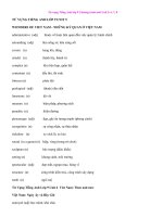 Tải Từ vựng Tiếng Anh lớp 9 Chương trình mới Unit 5, 6, 7, 8 - Để học tốt Tiếng Anh 9 thí điểm