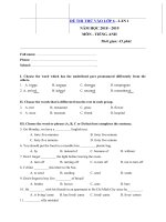 Tải Đề thi thử vào lớp 6 môn tiếng Anh năm học 2018 - 2019 có đáp án chi tiết - Đề thi tuyển sinh vào lớp 6 môn tiếng Anh có đáp án