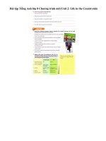 Tải Bài tập Tiếng Anh lớp 8 Chương trình mới Unit 2: Life in the Countryside - Bài tập Tiếng Anh lớp 8 Thí điểm Unit 2