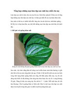 Tải Tổng hợp những mẹo làm đẹp sau sinh hay nhất cho mẹ - Những bí quyết làm đẹp sau sinh cho mẹ