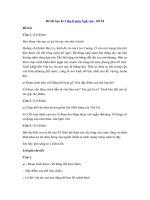 Tải Đề thi học kì 2 lớp 8 môn Ngữ văn - Đề 10 - Đề thi hk2 môn Văn lớp 8 có đáp án