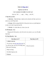 Tải Giáo án Tiếng việt 4 tuần 29: Cấu tạo của bài văn miêu tả con vật - Giáo án Tập làm văn lớp 4