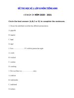 Tải Đề thi tiếng Anh lớp 8 học kì 1 năm 2020 - 2021 số 2 - Đề thi học kì 1 tiếng Anh lớp 8 có đáp án