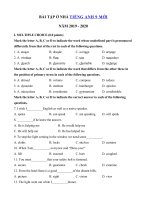 03) - Ôn tập tiếng Anh lớp 9 giữa học kì 2 có đáp án