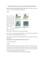 Tải Giải bài tập SGK Khoa học 4 bài 38: Gió nhẹ, gió mạnh, phòng chống bão - Giải bài tập môn Khoa học lớp 4 tập 2