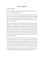 Tải Tả cây cau - Bài văn tả cây cối lớp 4, 5