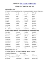 Tải Đề cương ôn thi giữa kì 2 lớp 6 môn tiếng Anh năm 2019 - 2020 - Đề kiểm tra tiếng Anh lớp 6 có đáp án