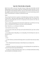 Tải Soạn Văn 8: Thiên đô chiếu (Lí Công Uẩn) - Soạn bài Chiếu dời đô Ngữ văn lớp 8 tập 2